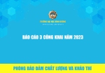 BAO CAO 3 CONG KHAI 2023